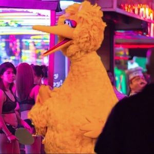 Meet your Posher, Marcus